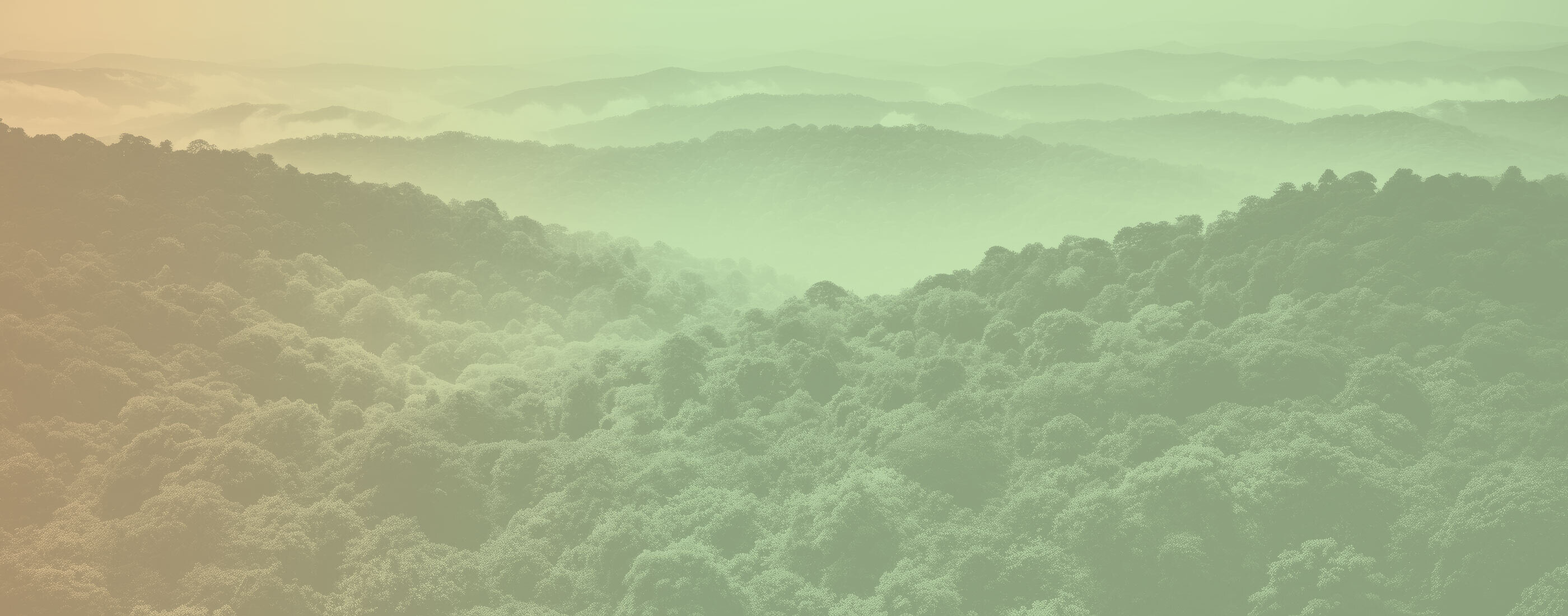 TKC Eco Friendly banner